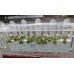EZG Hybrid Aeroponics 7P
